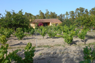 Location maison à la campagne Posada