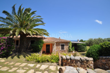 Costa Smeralda:for rent luxury and sea view villa