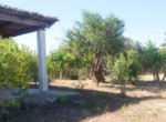 Villa-Cabras-Is-Arutas-Sardinia-01