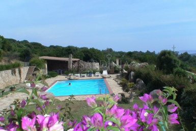 Villa with pool for sale in Palau Sardinia