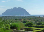 Villa-Garden-Porto San Paolo-Sardinia-05