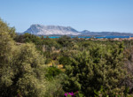 Villa-Seaview-San-Teodoro-Sardinia-03