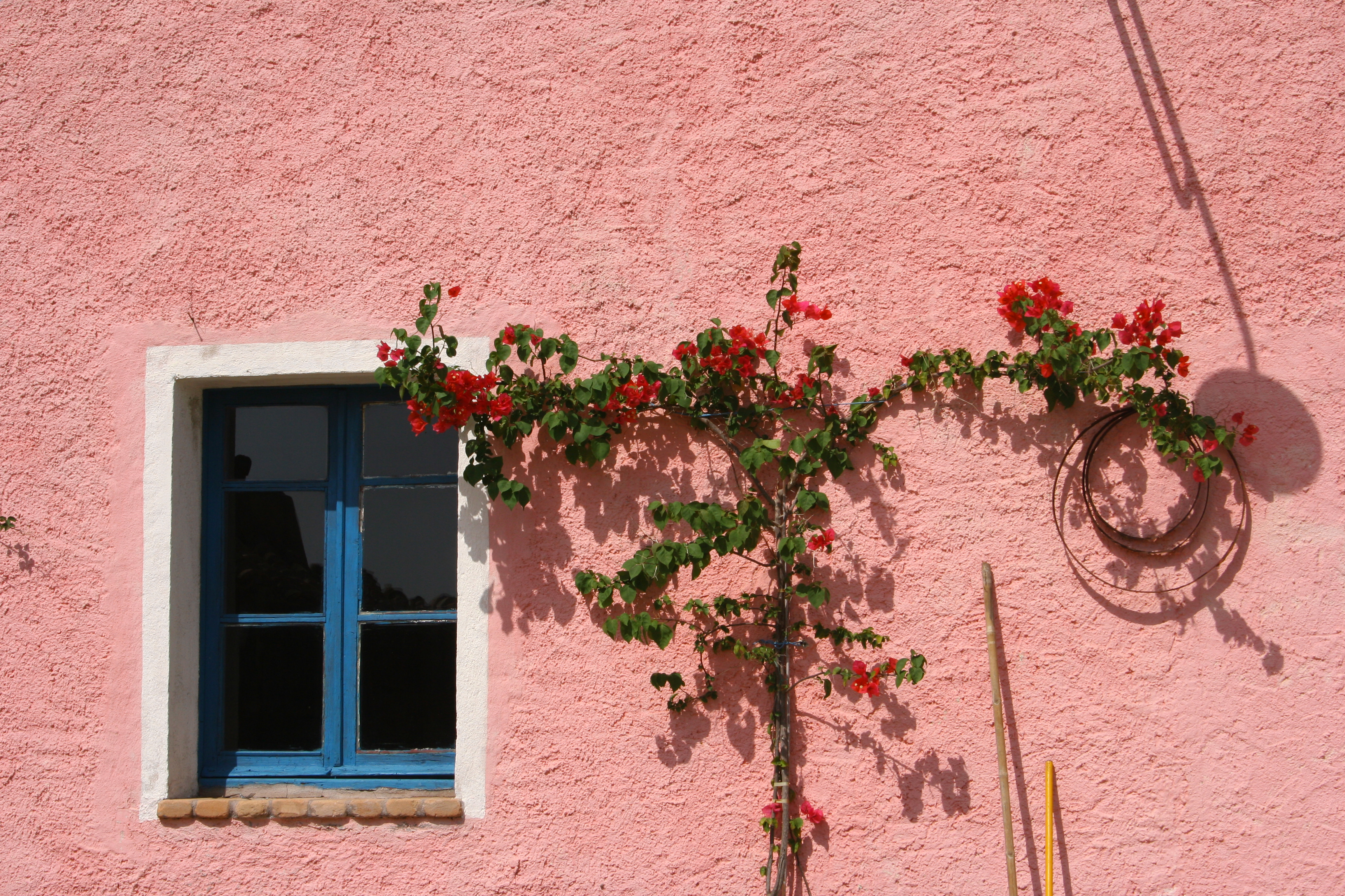 Case, Appartamenti, Ville in vendita in Sardegna-Insardinia