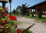 Wineyard-Santa Caterina-Agriturismo-Sardinia-11