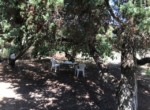 thumbnail_IMG_6116