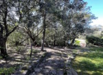 villa_vendita_nord_sardegna_10