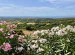 casa_campagna_vista_mare_vendita_aglientu_sardegna_8