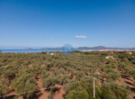 Villa in vendita di pregio Alghero vista mare Alghero (19)