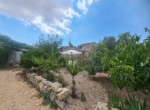 Garden 2