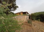 PHOTO-2024-08-08-12-10-42 (2)